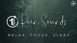 Thumbnail: Rain Sounds for Deep Sleep & Focus | 1 Hour of Pure Relaxation | No Music | 4K Visuals