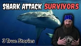 Thumbnail: 3 True Stories of Shark Attack Survivors