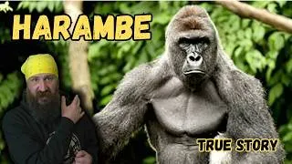 Thumbnail: Harambe | The Zoo Incident That Shocked the World | True Story