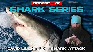 Thumbnail: Tragic Final Wave for David Lilienfeld - Great White Shark Attack