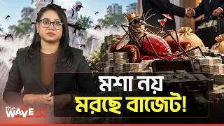 Thumbnail: মশা মারার নামে ১০০ কোটির তামাশা; টেন্ডার বাণিজ্য | DENGUE BTI TENDER | The Wave24