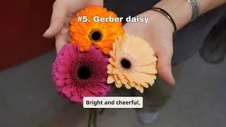 Thumbnail: What Wedding Flowers are in Season in the Summer May, June, July, August