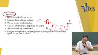 Thumbnail: Topic : Oculomotor Nerve