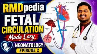 Thumbnail: Fetal Circulation Made Easy by Dr. RMD