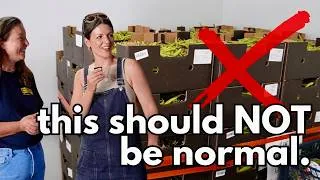 Thumbnail: I went behind the scenes with a waste food charity and it shocked me.