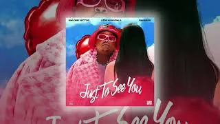 Thumbnail: Malome Vector - Just To See You feat. Lizwi Wokuqala & Sannere (Official Audio)