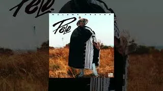 Thumbnail: Malome Vector - Pelo (Official Audio)