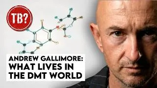 Thumbnail: The Basement: Andrew Gallimore | DMT Didn't Take You Somewhere New — It Unlocked What's Always There