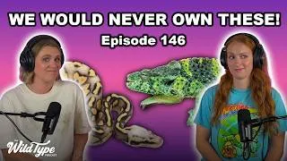 Thumbnail: Reptile species we no longer want to keep! | Episode 146