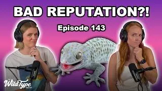 Thumbnail: Do These Reptiles Deserve Their Reputation? | Episode 143