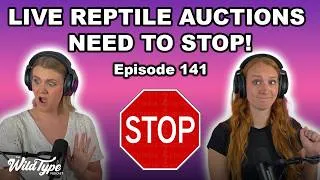 Thumbnail: Our Thoughts on Live Reptile Auctions | Episode 141