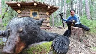 Thumbnail: The War on Bears Continues - at the Bear Proof Log Cabin!