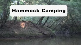 Thumbnail: Hammock Camping in the Forest