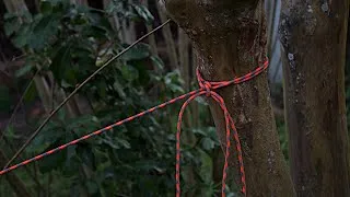 Thumbnail: How To Tie the Taut Tarp Hitch