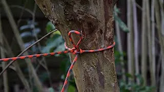 Thumbnail: How To Tie the Evenk Hitch