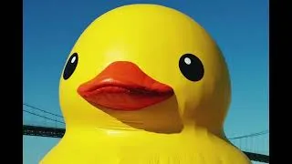 Thumbnail: Q U A C K