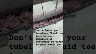 Thumbnail: 27 June 2025