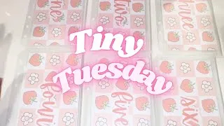 Thumbnail: Tiny Tuesday Saving Challenge #tinytuesday 