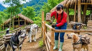 Thumbnail: Clearing the Way for Binh’s New Home | Turning Old Planks into a Strong Fence