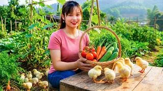 Thumbnail: From Garden to Market | Binh Sells Her Harvest for Something Special