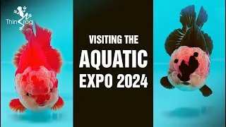 Thumbnail: Visiting The Aquatic Expo 2024 Malaysia
