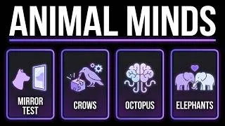 Thumbnail: Fall Asleep to the Secret Minds of Animals