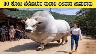 Thumbnail: 10 Biggest Bulls in The World | Think Forever Kannada 