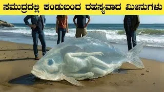 Thumbnail: ಸಮುದ್ರದಲ್ಲಿ ಕಂಡುಬಂದ ರಹಸ್ಯವಾದ ಮೀನುಗಳು | Most Mysterious Deep sea Fishes | Think Forever 