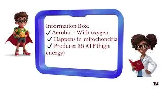 Thumbnail: Think Learn Excel | Respiration | Class 10 for CBSE & SSC | Important Questions for 2026 Board Exams