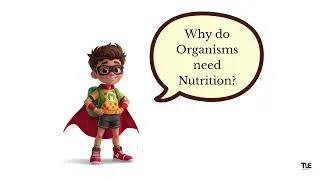Thumbnail: Nutrition Class 10 | Life Processes | Autotrophic & Heterotrophic Nutrition Explained Simply | TLE
