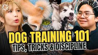 Thumbnail: DOG TRAINING 101: Simple Tips Para sa Mas Happy at Well-Behaved na Aso! 🐾 | Duane Valenzuela