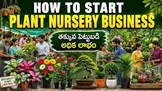 Thumbnail: How to Start Plant Nursery Business in Telugu | Low Investment Business Ideas in Telugu | 
