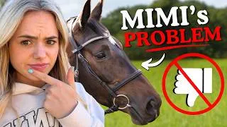 Thumbnail: My New Horses Problem - You asked for it - Questions answered
