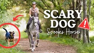 Thumbnail: Loose Dog Spooks Horse, POV Horse riding - This Esme