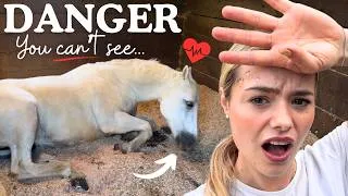 Thumbnail: EXTREME HEAT DANGER - EMERGENCY HORSE CARE - This Esme AD