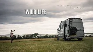 Thumbnail: I Camped On A Nature Reserve & Tried Wildlife Photography 