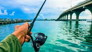 Thumbnail: Fishing St. Petersburg FL in Rough Conditions Then This Happened