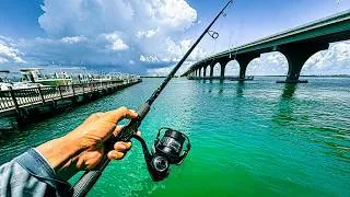 Thumbnail: The Easiest Way to Catch Stud Mangrove Snapper From Land