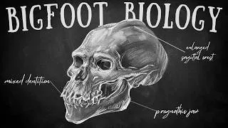 Thumbnail: The Unsettling Biology of Sasquatch: A Deep Dive into the Science of Bigfoot