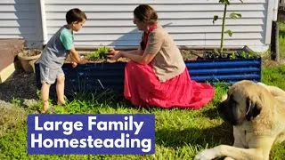 Thumbnail: Finishing the Pantry, Preparing for Fall
