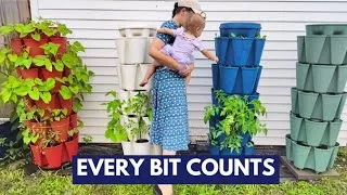 Thumbnail: Making Soap, Stocking Up, and a Garden Update