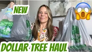 Thumbnail: DOLLAR TREE HAUL | NEW| AMAZING BRAND NAME FINDS 😱