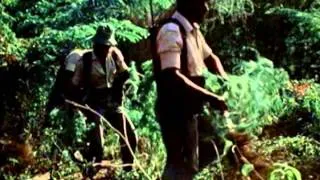 Thumbnail: Jimmy Cliff "The Harder They Come" from the film