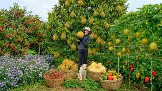 Thumbnail: Harvest, Sell, And Cook With Yellow Durian, Yellow Melons, Rambutans, Asters, And Bell Peppers