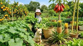 Thumbnail: Harvest, Sell, And Cook With Pumpkin Shoots, Canh Oranges, Bamboo Shoots, Pineapples, Red Papayas