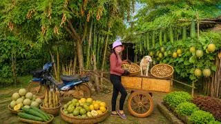 Thumbnail: Harvest, Sell & Cook : Tamarind, Loofah Gourds, Bamboo Shoots, Yellow Melons - Garden, Livestock