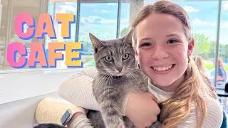 Thumbnail: Should we Adopt a Cat ??