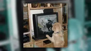 Thumbnail: Oklou - plague dogs (tidj's extended version)