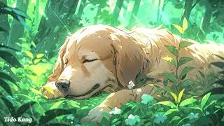 Thumbnail: Deep Sleep Dog Music🐶💖Dog Separation Anxiety Music🐶🎵Dog Sleep Music for dogs🐶