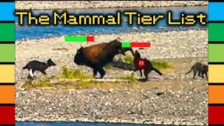Thumbnail: The Mammal Tier List